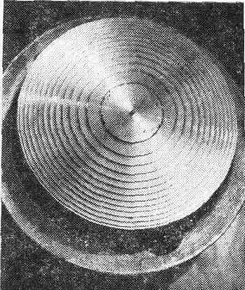 195.jpg